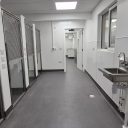 Green Pastures vets 41